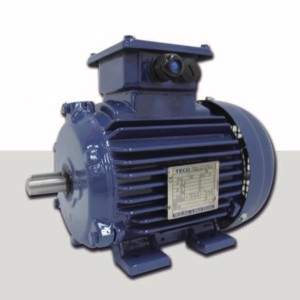 TECO东元防爆电动机|东元电动机|TECO东元电动机马达台湾品牌机械