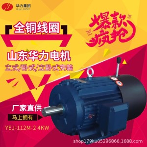 山东华力电机YEJ-80M1-2 0.75KW系列电磁制动三相异步电动 机现货
