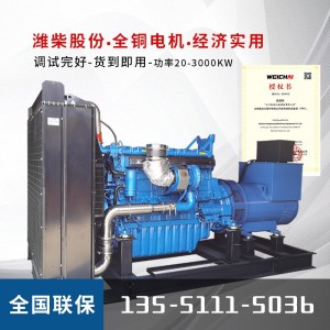 潍柴博杜安600KW柴油发电机组 600kw柴油发电机 600KW潍柴发电机 1套(定制）