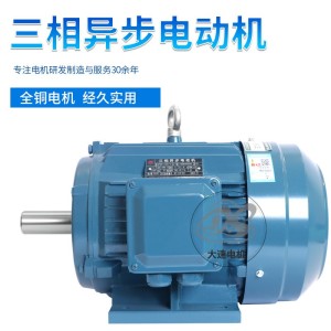 大速定制电机YE3系列三相异步电动机低噪音电机机械设备支持定制