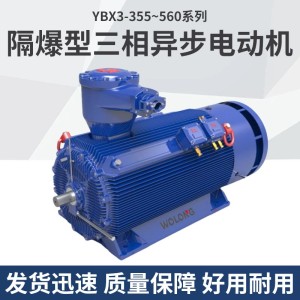 南阳防爆电机-YBX3-355～560系列高压隔爆型三相异步电动机 一级