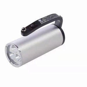 RWX7131消防员照明灯具 应急救援手电筒 10套