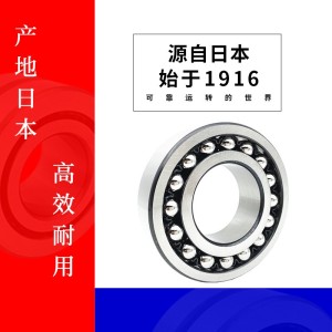 NSK轴承 1302轴承