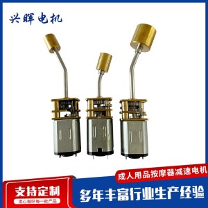 微型直流电机 家用电器美容棒振动马达 旋转按摩器减速电机 100个