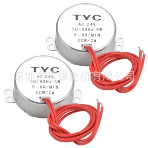 永磁同步电机TYC50/49/TYJ50/50TYZ展示架灯饰4WAC6V/12/24V微型 1个