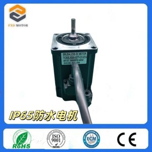 源头厂家低压直流无刷伺服电机可配减速箱24/48VDC3000转100-400W 20台