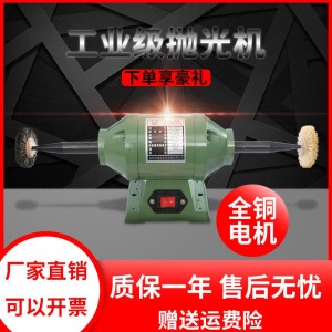 台式小型抛光打磨电动佛珠核桃盘珠文玩菩提抛光机砂轮机双工位 1件