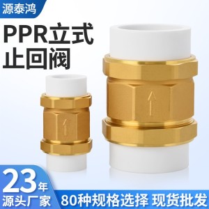 黄铜立式止回阀ppr止回阀单向阀止回阀全铜止回阀止回阀逆水阀 1个