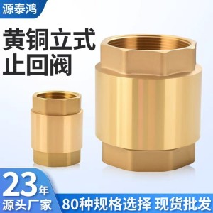 止回阀单向阀升降式单向止水阀止回阀防回阀黄铜表前立式止回阀 1个