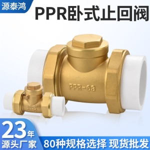 黄铜卧式止回阀ppr止回阀单向阀止回阀全铜止回阀止回阀逆水阀 1个