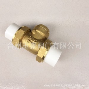厂家PP-R 止回阀(双头式） 双热熔止回阀 黄铜PPR止回阀 逆止阀 1个