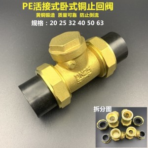PE双活接止回阀黄铜PPR卧式立式止回阀逆止阀单向阀自来水管配件  1个