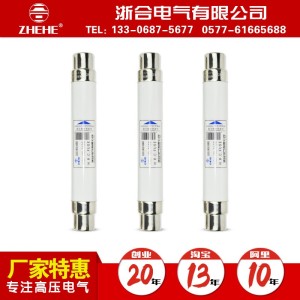 XRNT-12全范围保护用高压限流熔断器XRNT1-10 51*360 5A-40ASDLAJ   30只