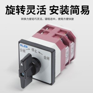 苏亮SSLY58(LW12)-20Z/4.0331.2自复分合闸转换开关切换组合开关  1个