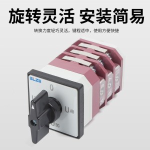 苏亮转换开关SSLY58(LW12)-20/YH3/3电压转换切换开关组合开关 10个