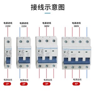 延泰厂家YTG1小型断路器1P2P3P4P隔离开关63a100a空气开关DZ47  10个