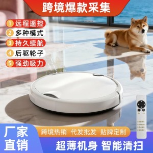 跨境扫地机器人家用自动扫地拖地一体机遥控智能吸尘器拖地机礼品   2台