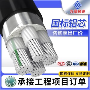国标铝芯YJLV电缆线2 3 4 5芯10 16 25 35 50 95平方三相铠 装电缆 2米