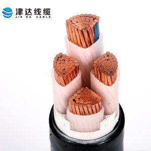 津达厂家YJV22/YJV1*4/1*10/1*16/1*35交联聚乙烯绝缘电线电缆 100米