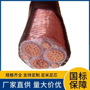 厂供国标BPYJVP BPYJVP1 BPYJVP2 3+1 3+3芯阻燃耐火变频电缆线 100米