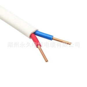 BVVB护套线国标两芯三芯2.5/4平方铜芯电线家装工程电线扁硬护套 1卷