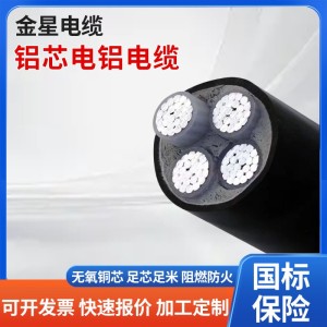 国标铝芯电铝电缆三相四线动力电缆架空电线3*25+1*16平方电缆线  10米