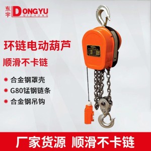 DHS型家用倒链提升机1吨3米固定式链条起重机环链电动葫芦 1台