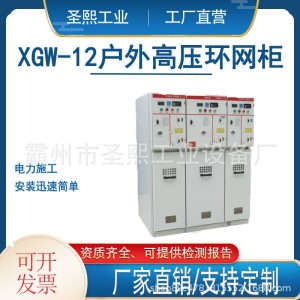 环网柜SF6负荷开关柜高压电缆分支箱户外高压环网柜Xother□12