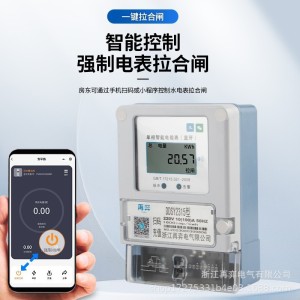 远程蓝牙预付费电表扫码出租房4G充值单相家用智能出租房电能表 1台