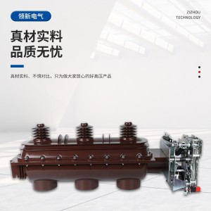 负荷开关FLN36-12DT/630-20六氟化硫三相高压电闸高性价比