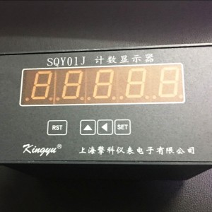 SQY01J-105DSX电子计数器 多功能计数显示控制仪表 1台