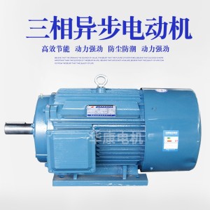 新品三相变频调速电机山东三相异步电机YE3-315S-6微型三相电动机