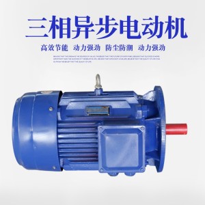 厂家供应 矿山机械电动机 YE3-315L2-6 立式电机 三相异步电动机