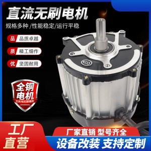 键槽款电瓶车直流无刷电机电动三轮车/四轮车48v60v72v电动机