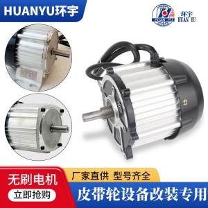 电动三轮车电机永磁直流无刷设备改装皮带轮48v24v60v50 0w电动机