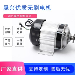 厂家直购48V 500W直流无刷电机 永磁载货电动机三轮车电机
