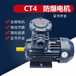 CT4防爆电机YBX3X4X5能效节能隔爆型三相异步电动机IP65