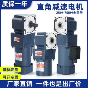 威尔强定速电机220v齿轮定速马达6-300W厂家销售微型交流齿轮电机
