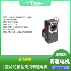 24V120W 无刷减速电机 60 法兰 计量泵加药泵隔膜泵专 用低速马达