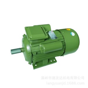 浪元单相大马力电机3kw 4kw 轴直径28